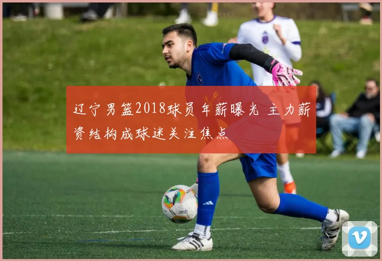 辽宁男篮2018球员年薪曝光 主力薪资结构成球迷关注焦点