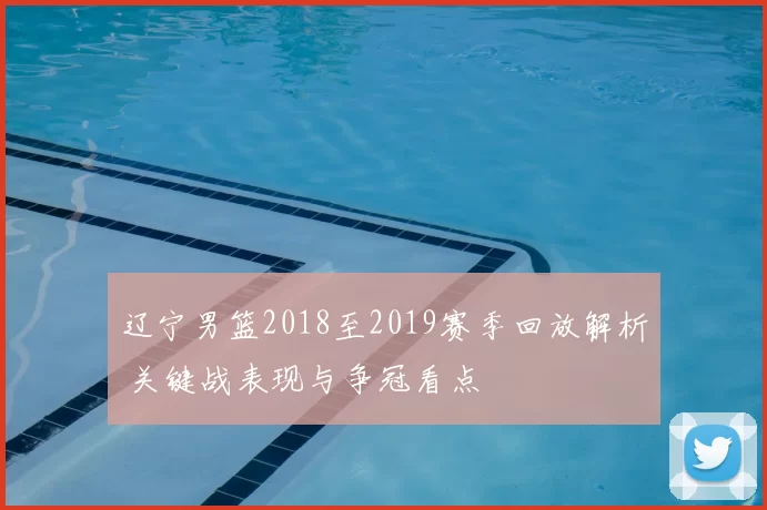 辽宁男篮2018至2019赛季回放解析 关键战表现与争冠看点