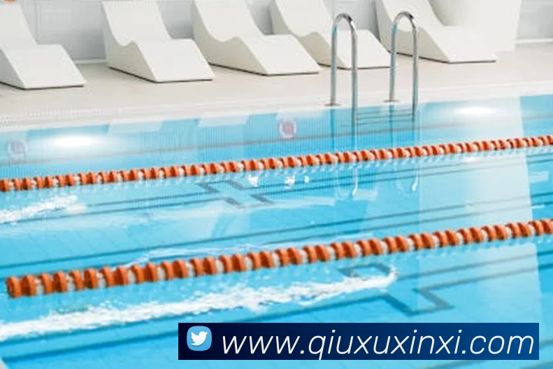 App Interface Preview